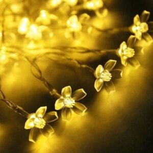 chary-blossom-Lights