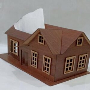 house-shape-tissue-box