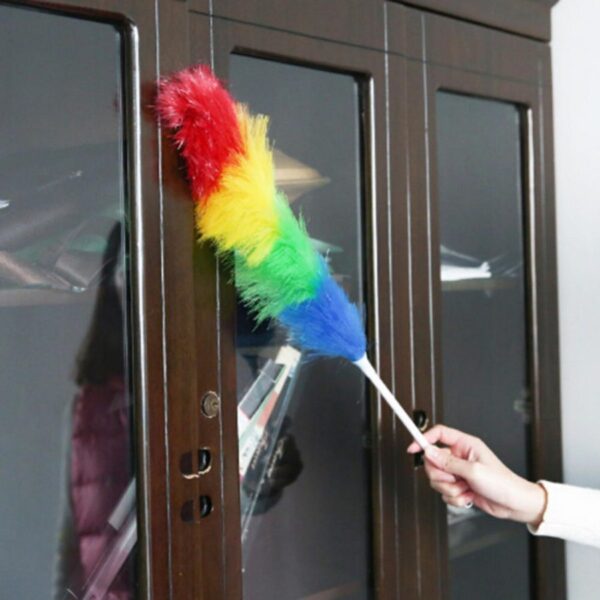 feather-duster-brush